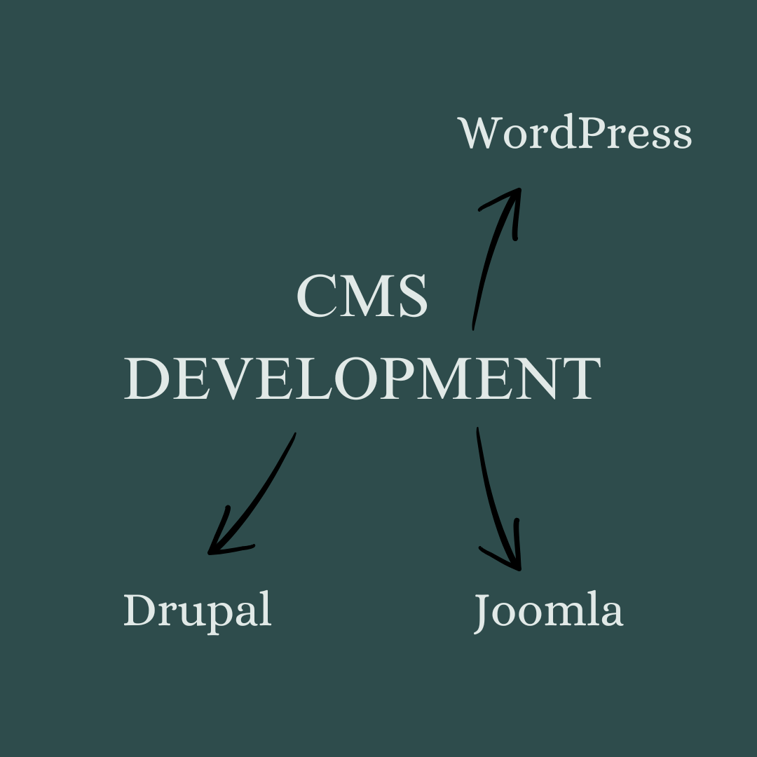 CMS Development​